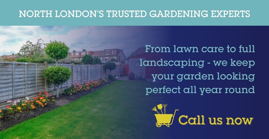 Patio cleaning – Gardening North London, London in Whetstone - Gardening North London